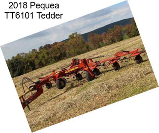 2018 Pequea TT6101 Tedder