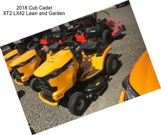 2018 Cub Cadet XT2 LX42 Lawn and Garden