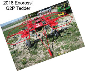 2018 Enorossi G2P Tedder