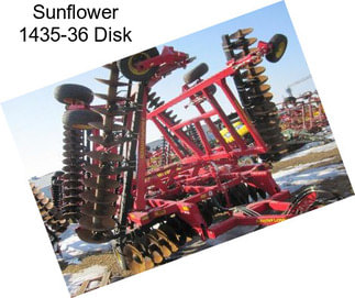Sunflower 1435-36 Disk