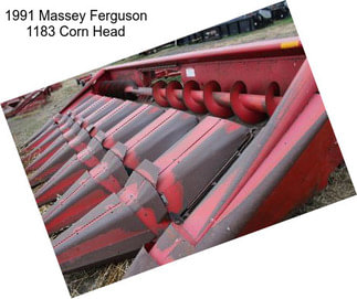 1991 Massey Ferguson 1183 Corn Head