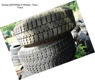 Dunlop 225/70/R22.5 Wheels / Tires / Track