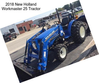 2018 New Holland Workmaster 25 Tractor