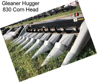 Gleaner Hugger 830 Corn Head