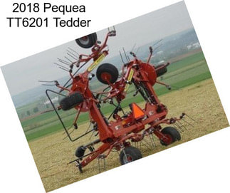 2018 Pequea TT6201 Tedder