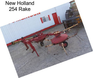 New Holland 254 Rake