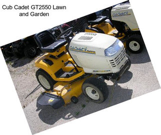 Cub Cadet GT2550 Lawn and Garden