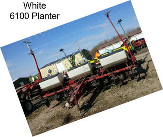 White 6100 Planter