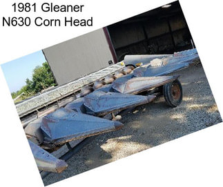 1981 Gleaner N630 Corn Head