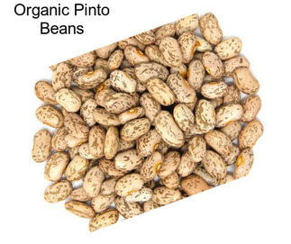 Organic Pinto Beans