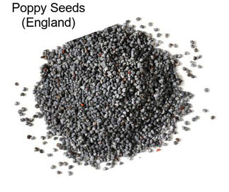 Poppy Seeds (England)