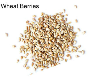 Wheat Berries