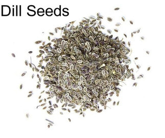 Dill Seeds