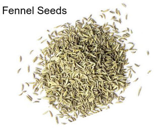 Fennel Seeds