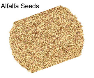 Alfalfa Seeds