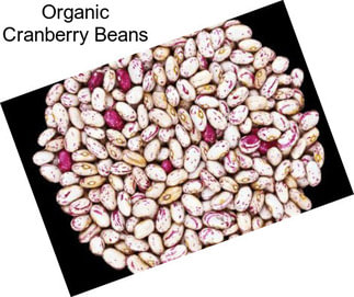 Organic Cranberry Beans