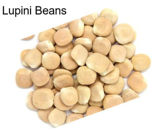 Lupini Beans