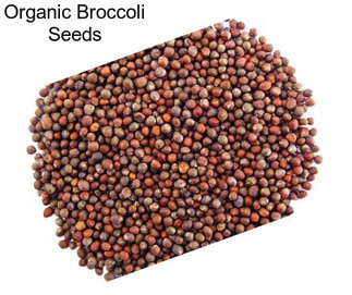 Organic Broccoli Seeds