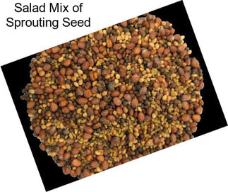 Salad Mix of Sprouting Seed