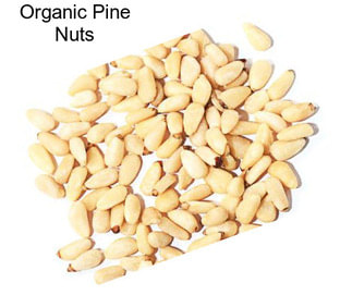 Organic Pine Nuts