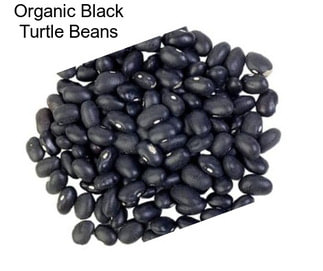 Organic Black Turtle Beans