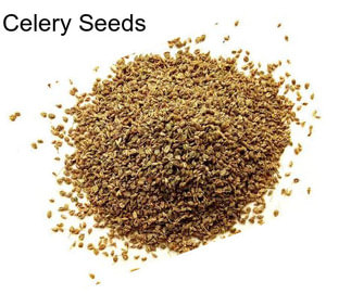 Celery Seeds