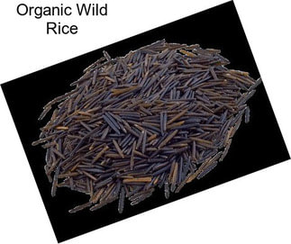 Organic Wild Rice