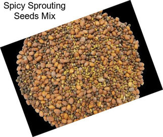 Spicy Sprouting Seeds Mix