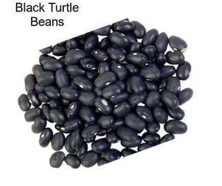 Black Turtle Beans