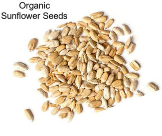 Organic Sunflower Seeds