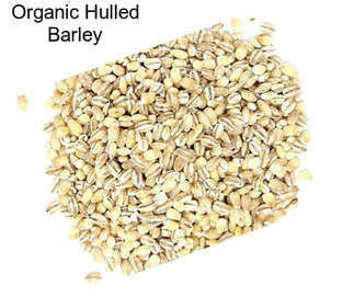 Organic Hulled Barley