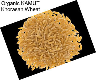 Organic KAMUT Khorasan Wheat