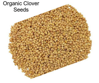 Organic Clover Seeds