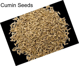 Cumin Seeds