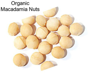 Organic Macadamia Nuts