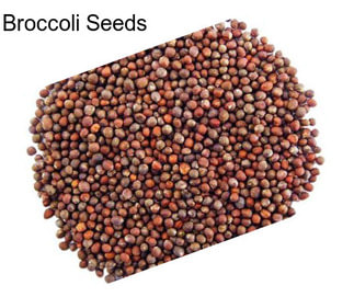 Broccoli Seeds