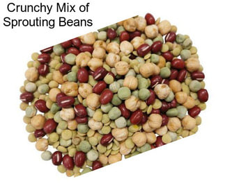 Crunchy Mix of Sprouting Beans