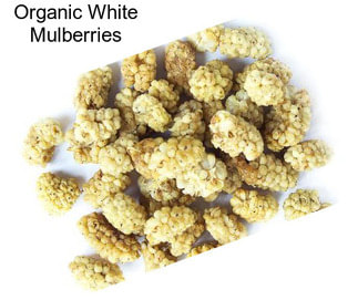 Organic White Mulberries