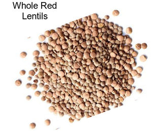 Whole Red Lentils