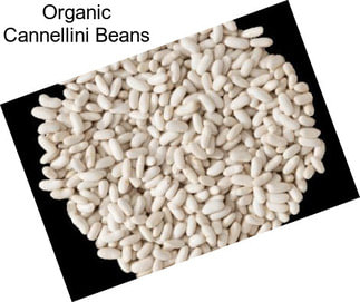 Organic Cannellini Beans