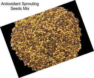 Antioxidant Sprouting Seeds Mix