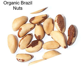 Organic Brazil Nuts