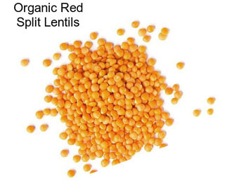 Organic Red Split Lentils