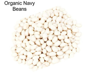 Organic Navy Beans