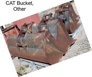 CAT Bucket, Other