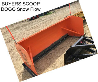 BUYERS SCOOP DOGG Snow Plow