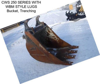 CWS 250 SERIES WITH WBM STYLE LUGS Bucket, Trenching