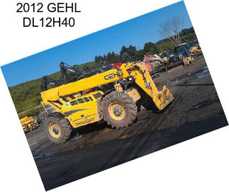 2012 GEHL DL12H40