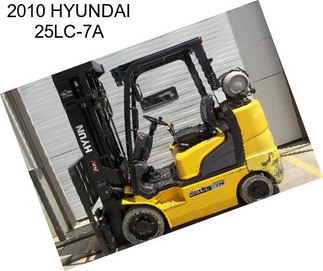 2010 HYUNDAI 25LC-7A