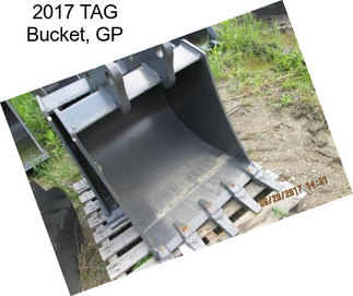 2017 TAG Bucket, GP